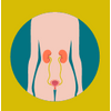 Uro Gynecology